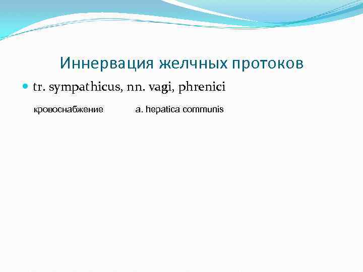 Иннервация желчных протоков tr. sympathicus, nn. vagi, phrenici кровоснабжение a. hepatica communis 