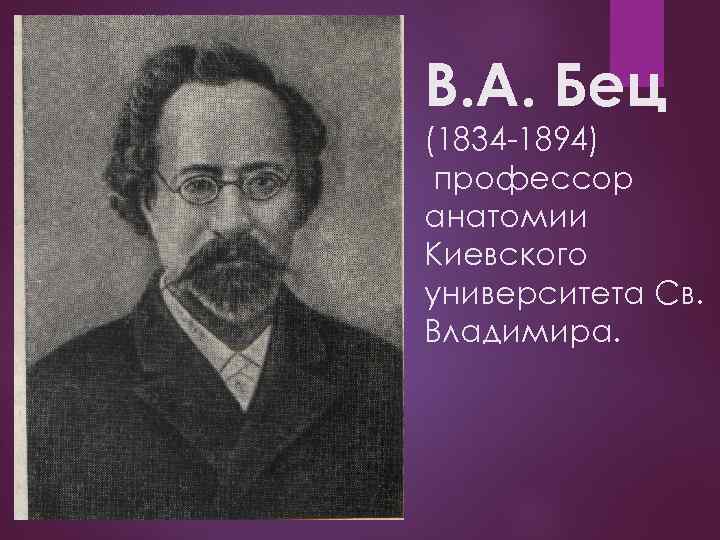 В. А. Бец (1834 -1894) профессор анатомии Киевского университета Св. Владимира. 