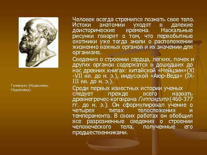 Гиппократ (Hippocrates, Hippokrates) Человек всегда стремился познать свое тело. Истоки анатомии уходят в далекие