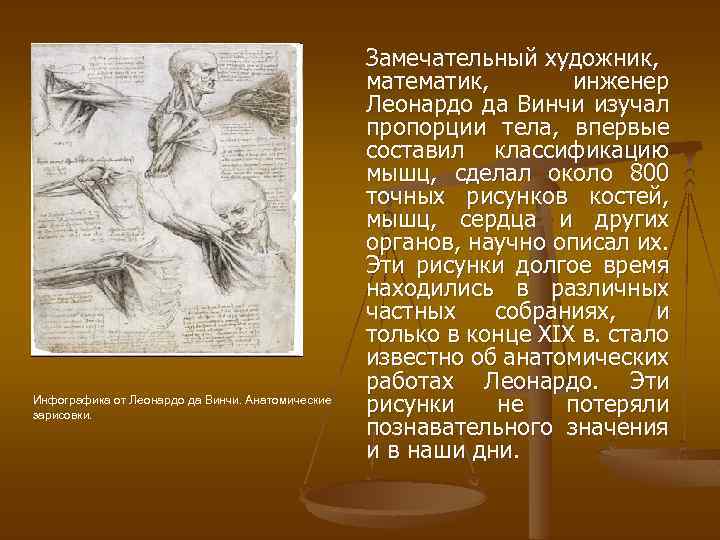 Инфографика от Леонардо да Винчи. Анатомические зарисовки. Замечательный художник, математик, инженер Леонардо да Винчи