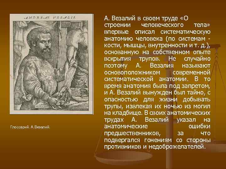 Глоссарий. А. Везалий в своем труде «О строении человеческого тела» впервые описал систематическую анатомию