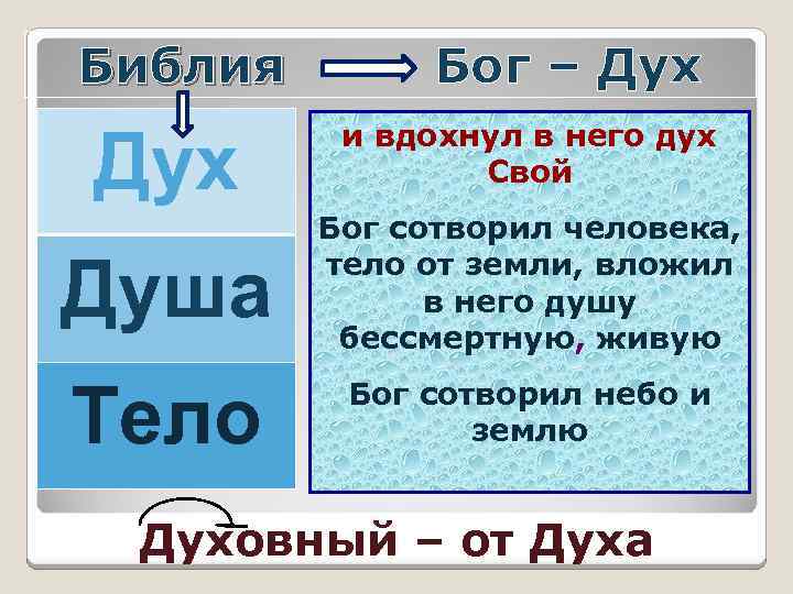 Библия Бог – Дух и вдохнул в него дух Свой Душа Бог сотворил человека,