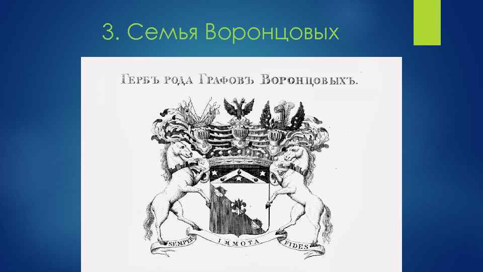3. Семья Воронцовых 
