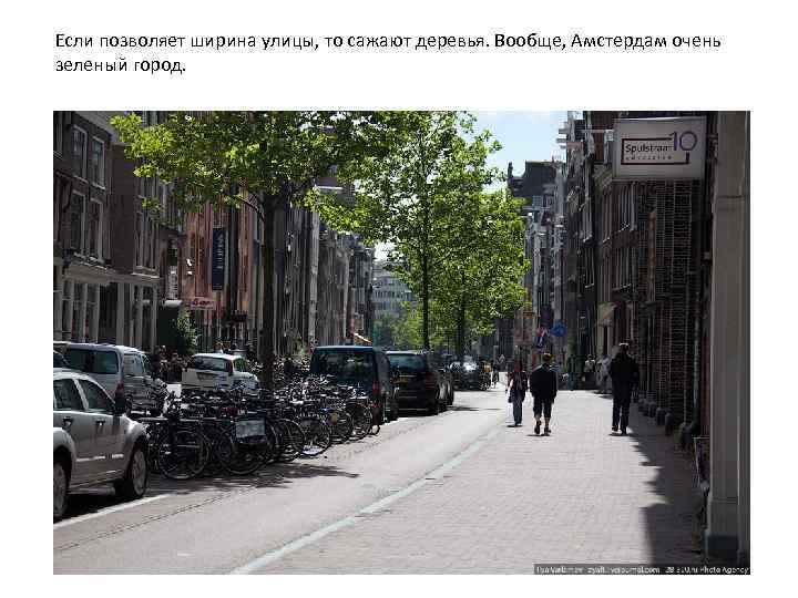 Если позволяет ширина улицы, то сажают деревья. Вообще, Амстердам очень зеленый город. 