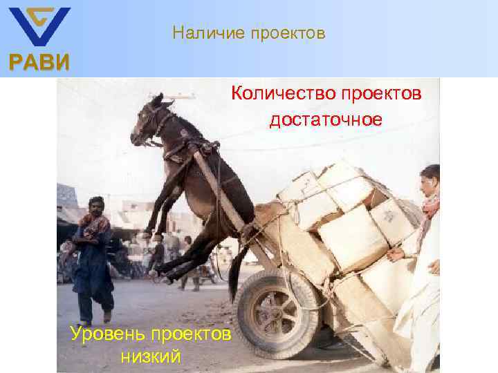 Наличие проектов РАВИ Количество проектов достаточное Уровень проектов низкий 