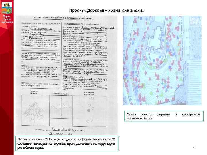 Проект «Деревья – хранители эпохи» Схема осмотра усадебного парка Летом и осенью 2015 года