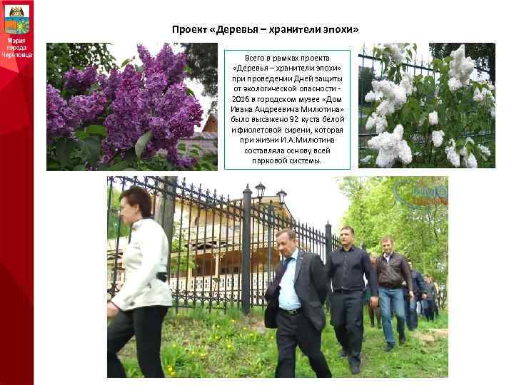 Проект «Деревья – хранители эпохи» Всего в рамках проекта «Деревья – хранители эпохи» при