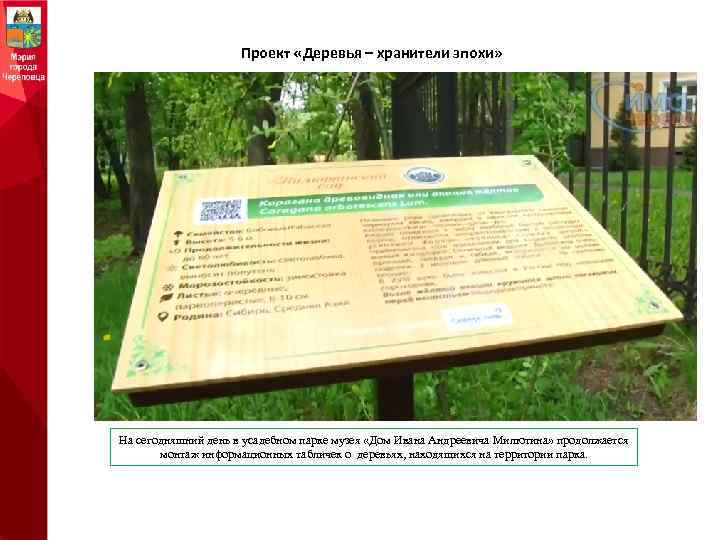 Проект «Деревья – хранители эпохи» На сегодняшний день в усадебном парке музея «Дом Ивана