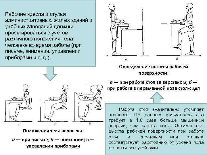 Рабочие кресла и стулья административных, жилых зданий и учебных заведений должны проектироваться с учетом