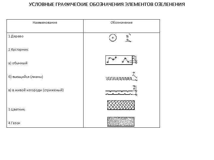 УСЛОВНЫЕ ГРАФИЧЕСКИЕ ОБОЗНАЧЕНИЯ ЭЛЕМЕНТОВ ОЗЕЛЕНЕНИЯ Наименование 1 Дерево 2 Кустарник: а) обычный б) вьющийся