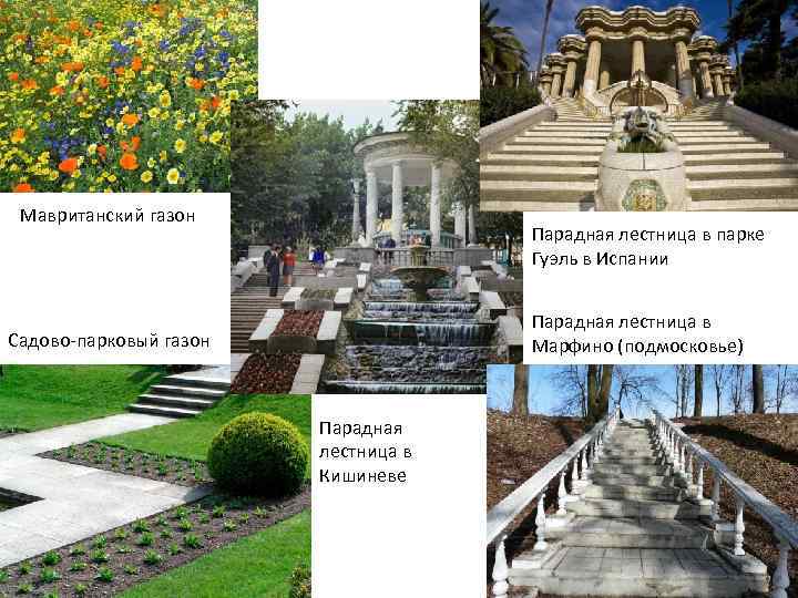 Мавританский газон Парадная лестница в парке Гуэль в Испании Парадная лестница в Марфино (подмосковье)