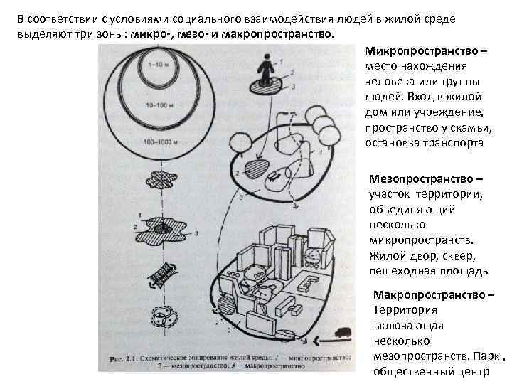 В соответствии с условиями социального взаимодействия людей в жилой среде выделяют три зоны: микро-,