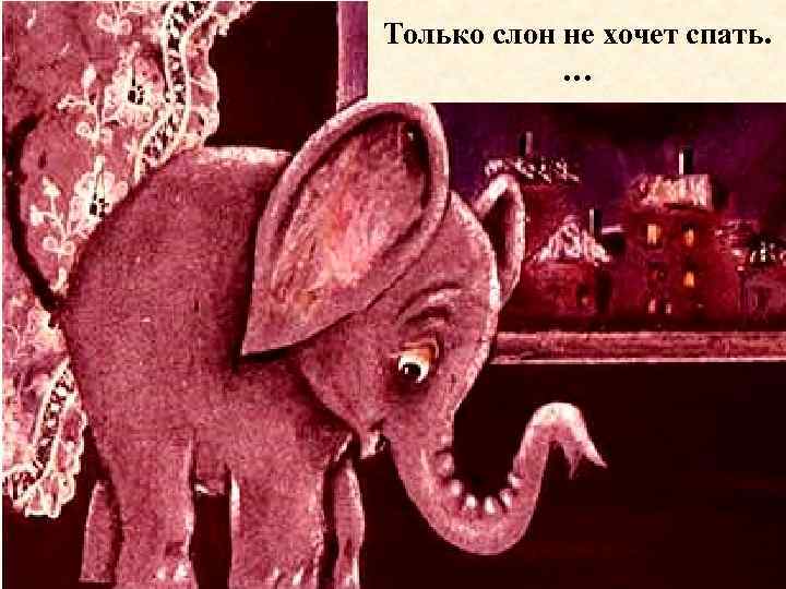 Только слон не хочет спать. … 