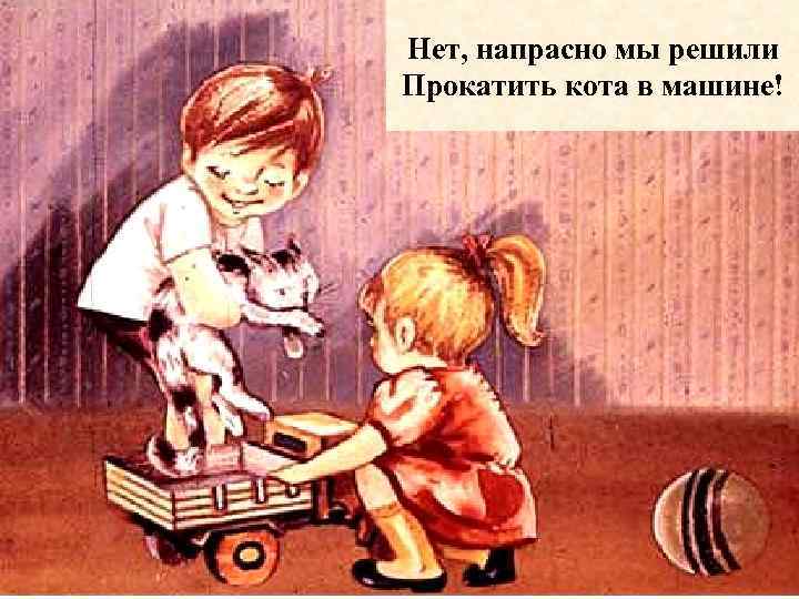 Нет, напрасно мы решили Прокатить кота в машине! 