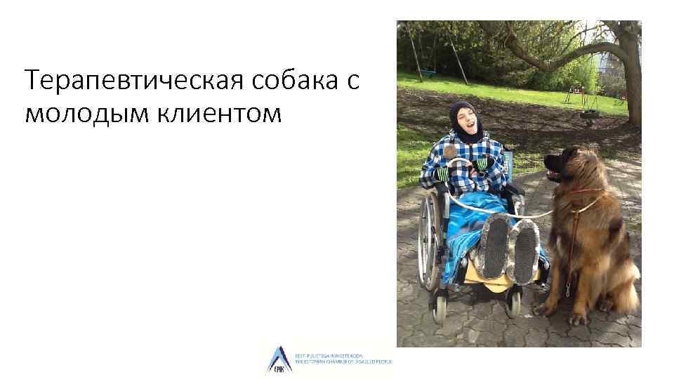 Терапевтическая собака с молодым клиентом 