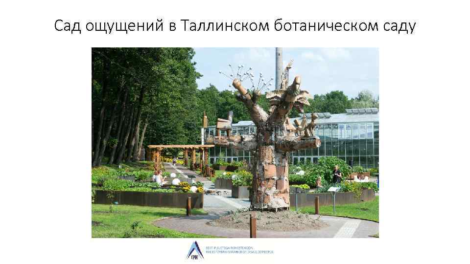 Сад ощущений в Таллинском ботаническом саду 