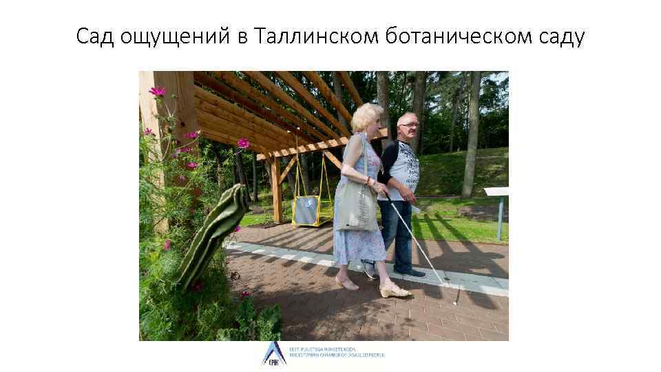 Сад ощущений в Таллинском ботаническом саду 