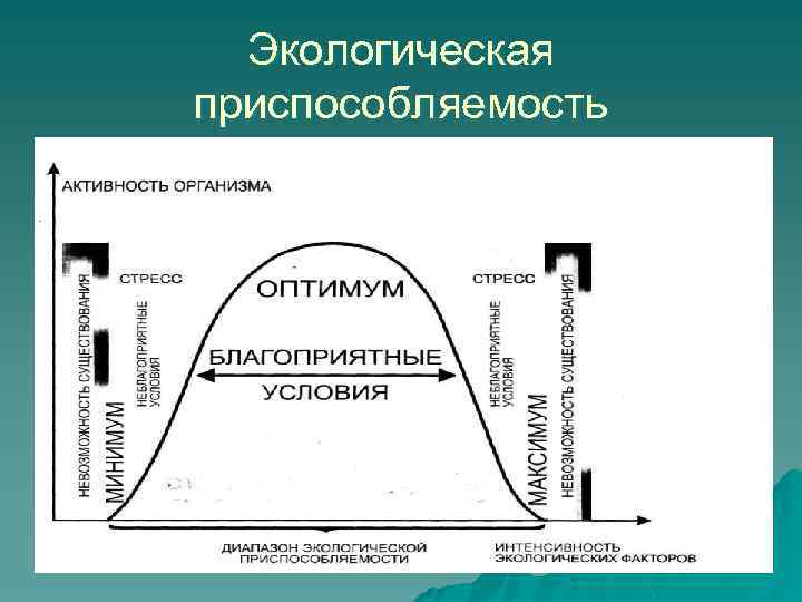 Экологическая приспособляемость 