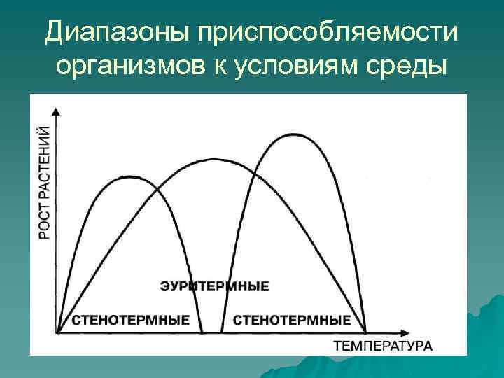 Диапазоны приспособляемости организмов к условиям среды 