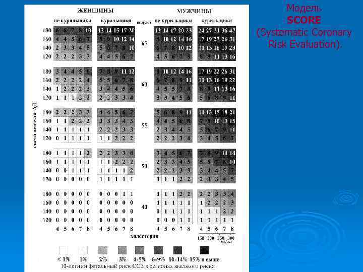 Модель SCORE (Systematic Coronary Risk Evaluation). 