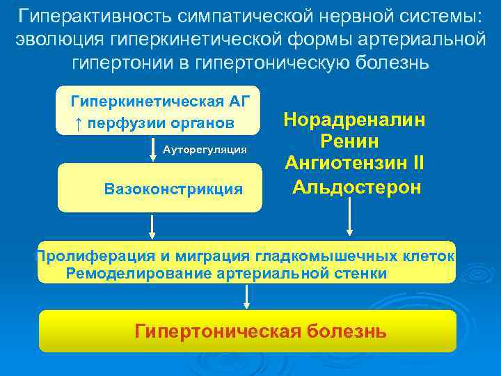 Гиперактивность симпатической нервной системы: эволюция гиперкинетической формы артериальной гипертонии в гипертоническую болезнь Гиперкинетическая АГ