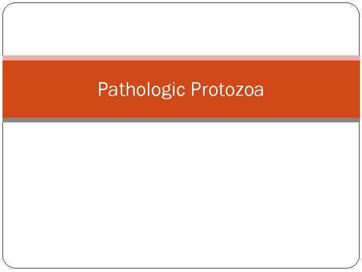 Pathologic Protozoa 
