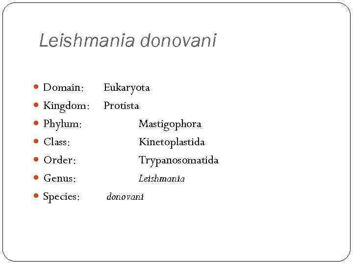 Leishmania donovani Domain: Kingdom: Phylum: Class: Order: Genus: Species: Eukaryota Protista Mastigophora Kinetoplastida Trypanosomatida