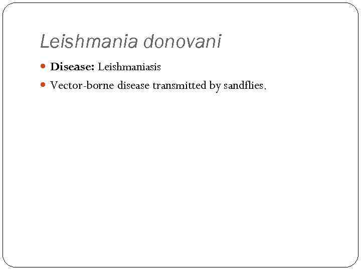 Leishmania donovani Disease: Leishmaniasis Vector-borne disease transmitted by sandflies. 