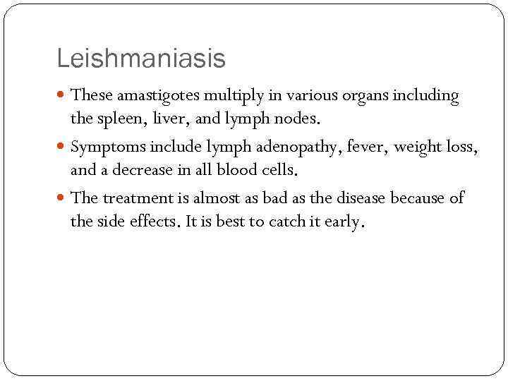 Leishmaniasis These amastigotes multiply in various organs including the spleen, liver, and lymph nodes.