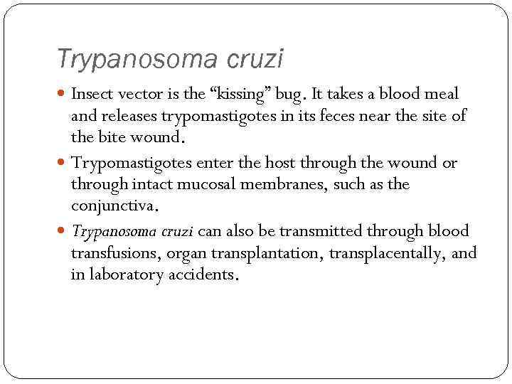 Trypanosoma cruzi Insect vector is the “kissing” bug. It takes a blood meal and