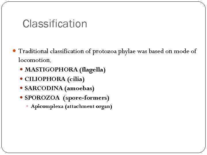 Classification Traditional classification of protozoa phylae was based on mode of locomotion. MASTIGOPHORA (flagella)