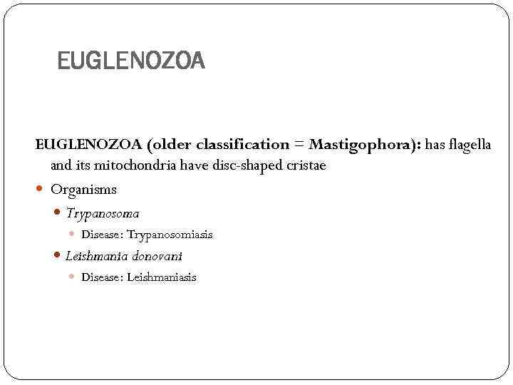 EUGLENOZOA (older classification = Mastigophora): has flagella and its mitochondria have disc-shaped cristae Organisms