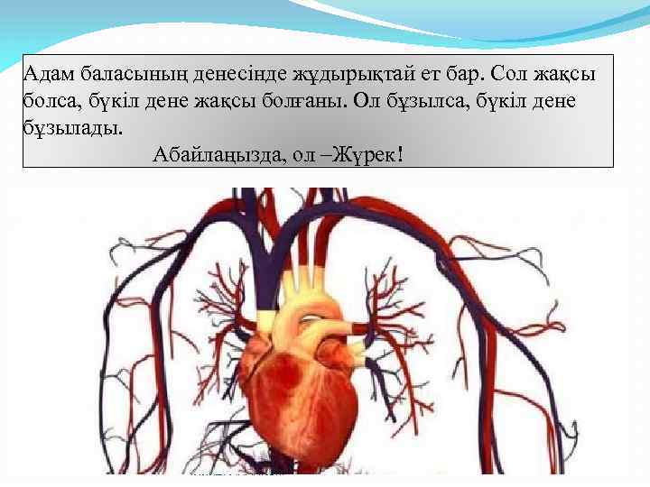 Адам баласының денесінде жұдырықтай ет бар. Сол жақсы болса, бүкіл дене жақсы болғаны. Ол