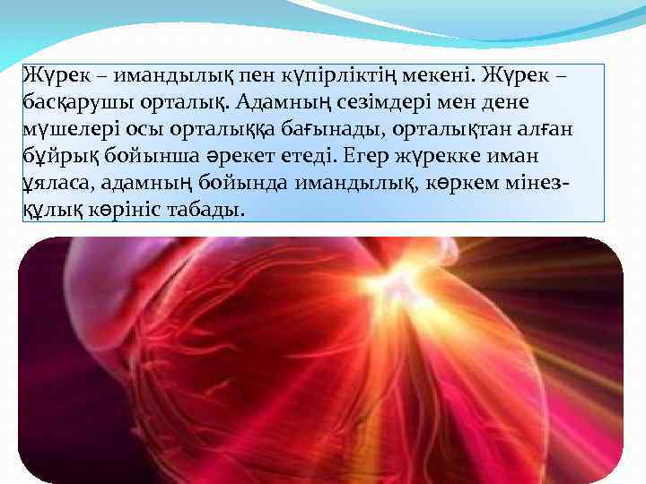 Жүрек – имандылық пен күпірліктің мекені. Жүрек – басқарушы орталық. Адамның сезімдері мен дене