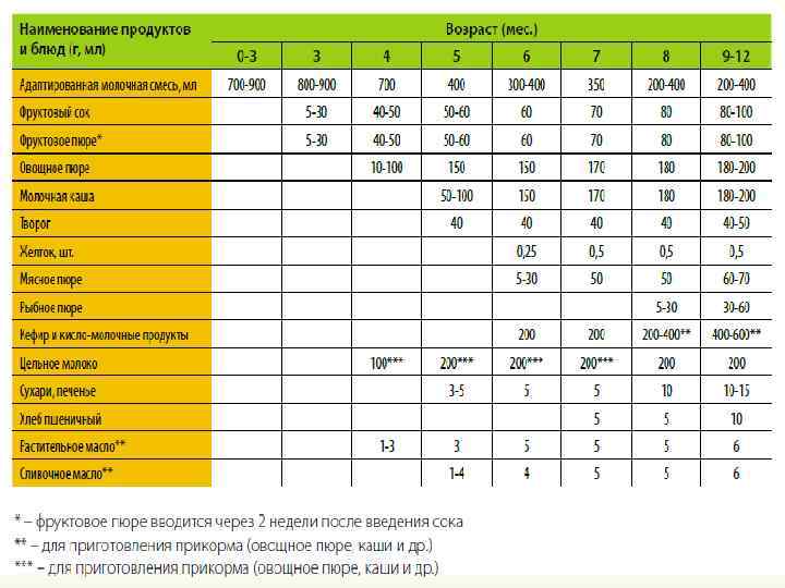 Современный прикорм