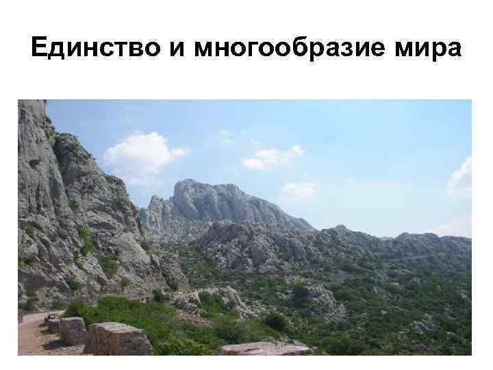 Единство и многообразие мира 