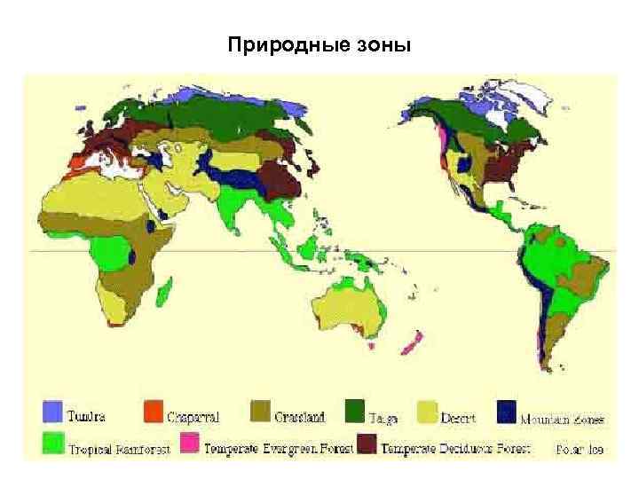 Природные зоны земли карта природных зон