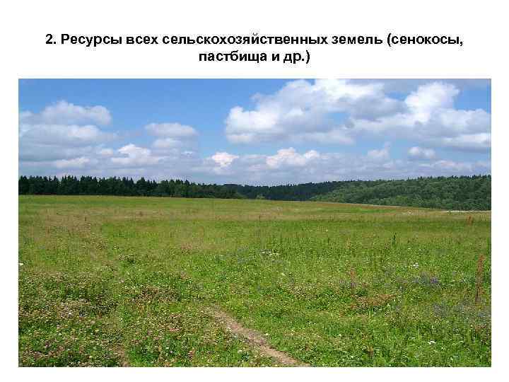 2. Ресурсы всех сельскохозяйственных земель (сенокосы, пастбища и др. ) 