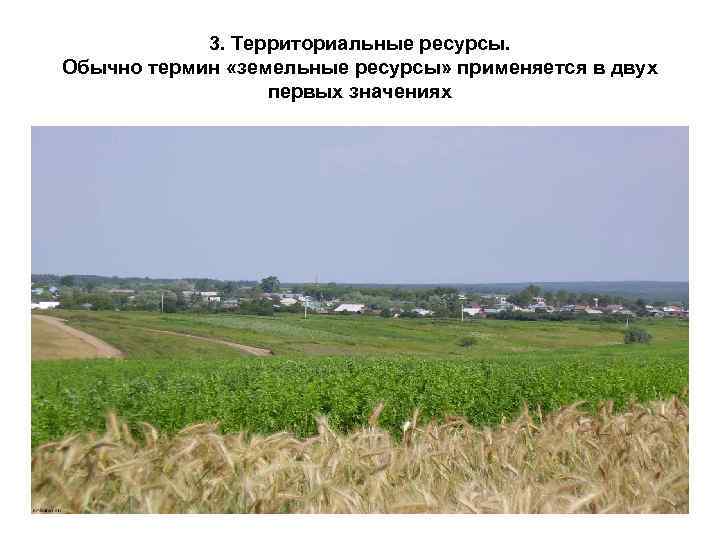 3. Территориальные ресурсы. Обычно термин «земельные ресурсы» применяется в двух первых значениях 
