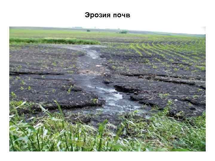 Эрозия почв 