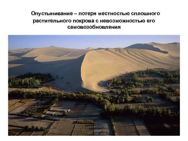 Опустынивание – потеря местностью сплошного растительного покрова с невозможностью его самовозобновления 