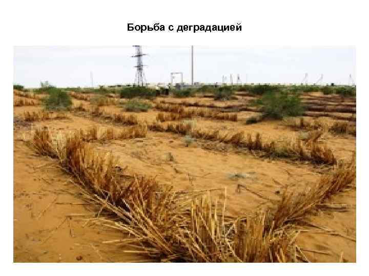 Борьба с деградацией 