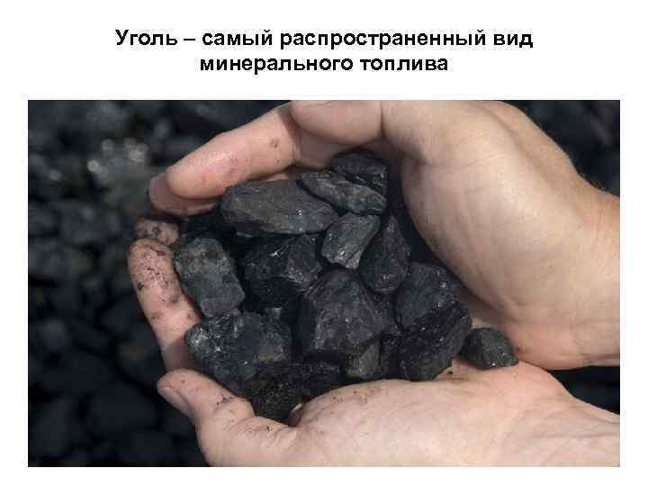 Уголь – самый распространенный вид минерального топлива 