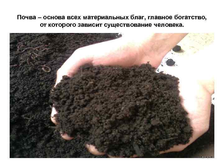 Почва – основа всех материальных благ, главное богатство, от которого зависит существование человека. 