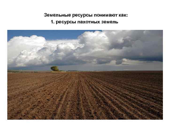 Земельные ресурсы понимают как: 1. ресурсы пахотных земель 