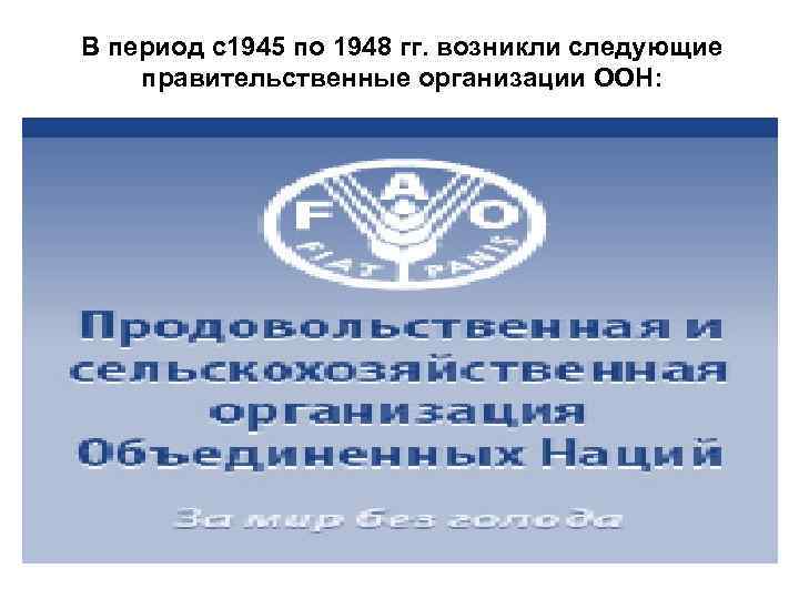 В период с1945 по 1948 гг. возникли следующие правительственные организации ООН: 
