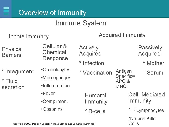 Overview of Immunity Immune System Acquired Immunity Innate Immunity Physical Barriers * Integument *