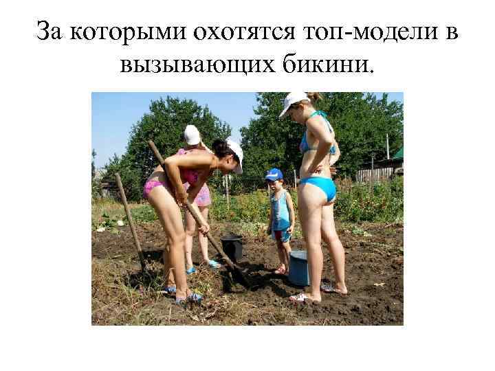 За которыми охотятся топ-модели в вызывающих бикини. 