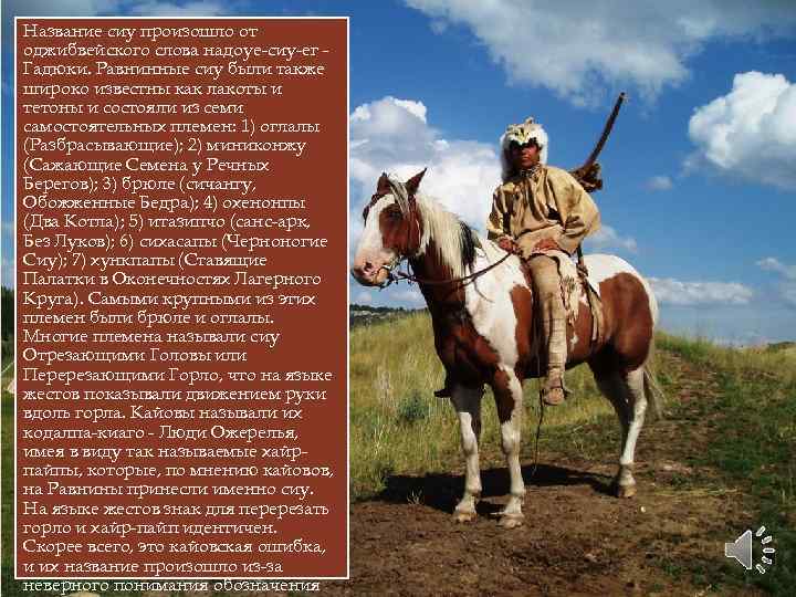 Название сиу произошло от оджибвейского слова надоуе-сиу-ег Гадюки. Равнинные сиу были также широко известны