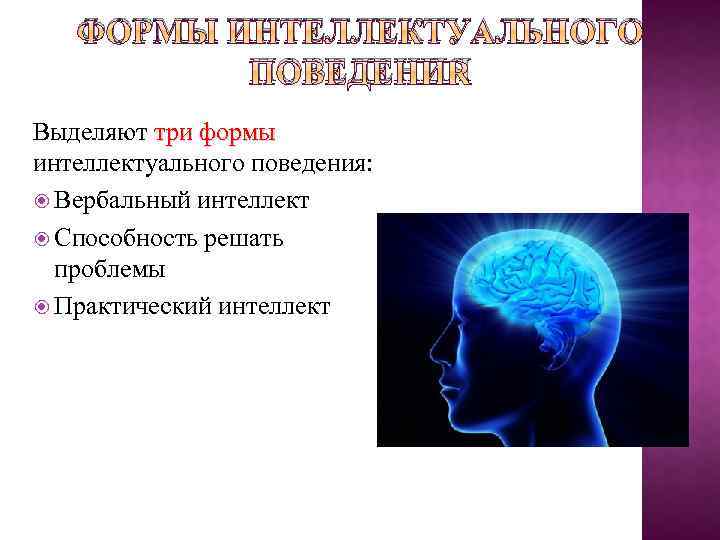 Что такое интеллект